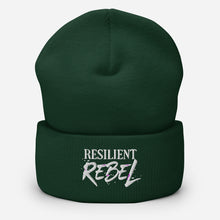 Load image into Gallery viewer, Cuffed Beanie